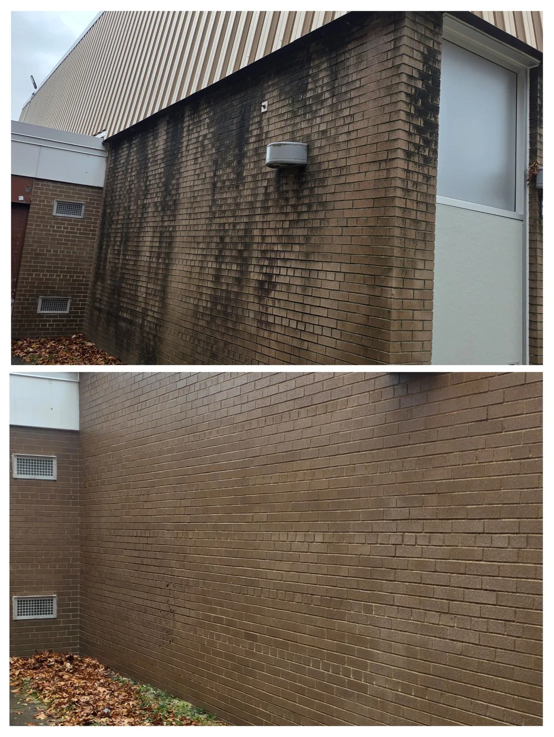 A commercial brick elevation before and after. The dark vertical streaking is organic growth rather than dirt; the wall-pack light fixture and the louvers at the base place it on a commercial building.