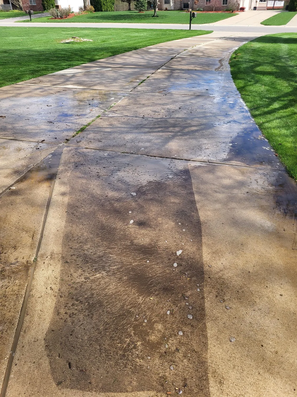 Heavily soiled concrete flatwork before any work — the staining and organic film that reads as "just grey concrete" until a section of it is cleaned.